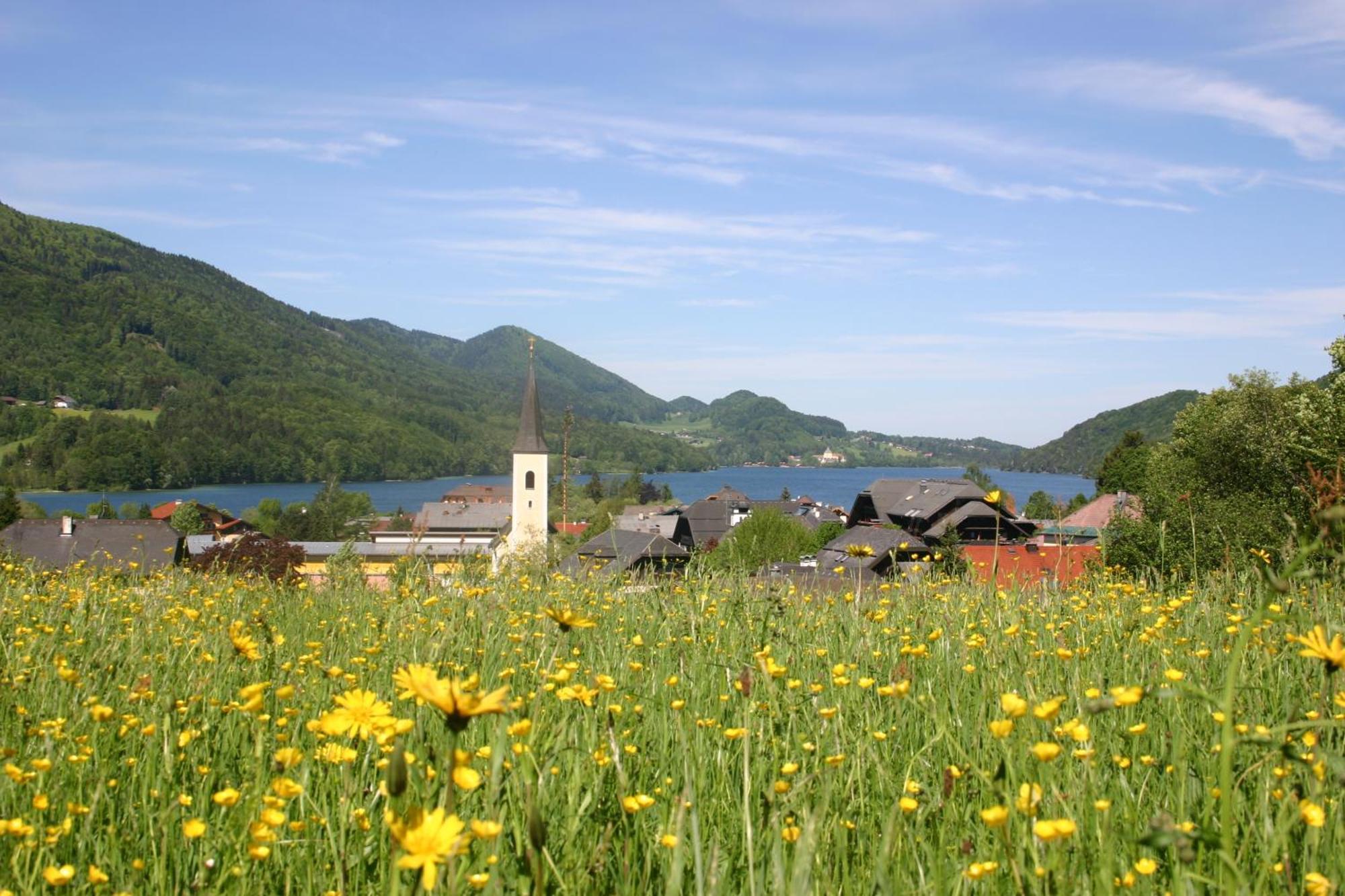 Landhotel Schuetzenhof Fuschl am See Εξωτερικό φωτογραφία
